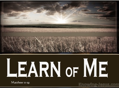 Matthew 11:29 Learn Of Me (gray)